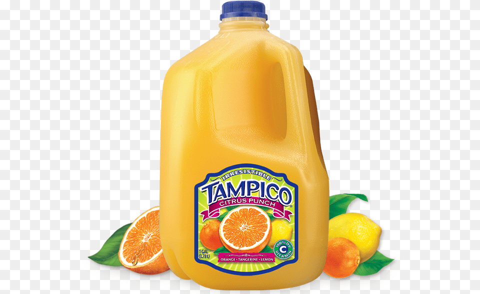 Tampico Tampico Beverages Tampico Kiwi Strawberry, Beverage, Orange Juice, Juice, Plant Png