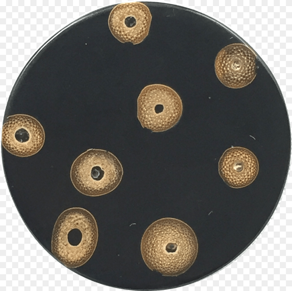 Tan Bamboo Spots On Round Black Button 1 18quot The Button Circle Png Image