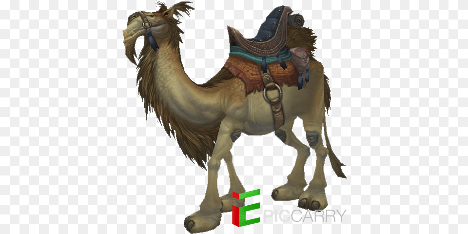 Tan Riding Camel Reins Of The Brown Riding, Animal, Mammal, Horse Free Png