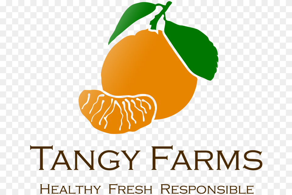 Tangerine, Citrus Fruit, Food, Fruit, Plant Png Image