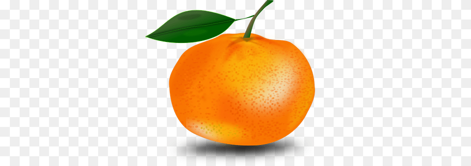 Tangerine Citrus Fruit, Food, Fruit, Grapefruit Free Png Download