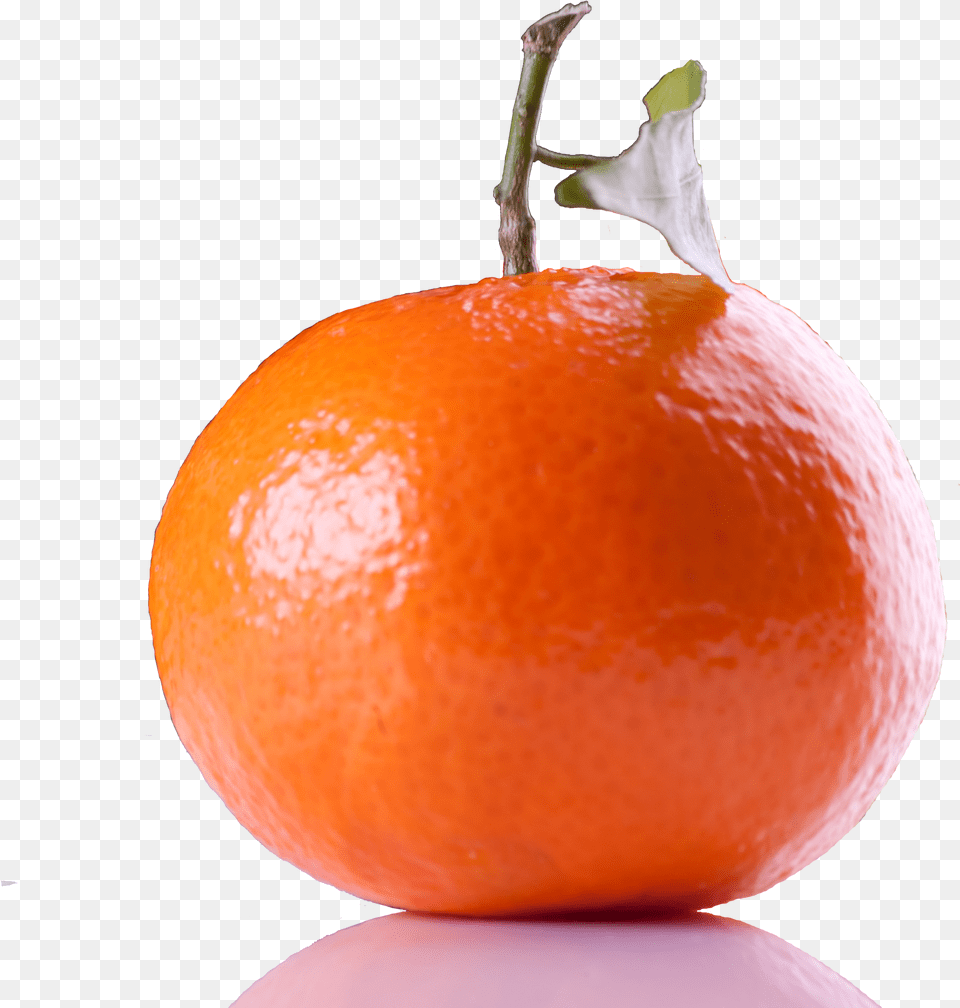Tangerine, Citrus Fruit, Food, Fruit, Grapefruit Png Image