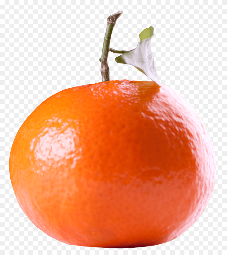 Tangerine Citrus Fruit Image, Citrus Fruit, Food, Grapefruit, Orange Free Png Download