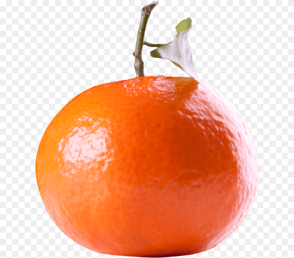 Tangerine Citrus Fruit Mandarin Orange, Citrus Fruit, Food, Grapefruit, Plant Png Image