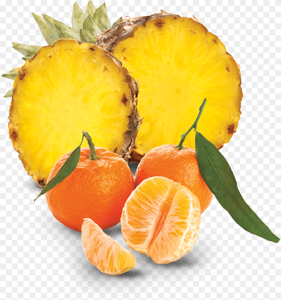 Tangerine Clementine, Citrus Fruit, Food, Fruit, Orange Free Png