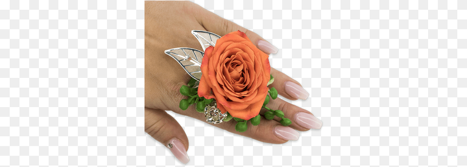 Tangerine Floral Ring Custom Product Angels Trumpet Flowers Amp Gifts, Rose, Body Part, Finger, Flower Png