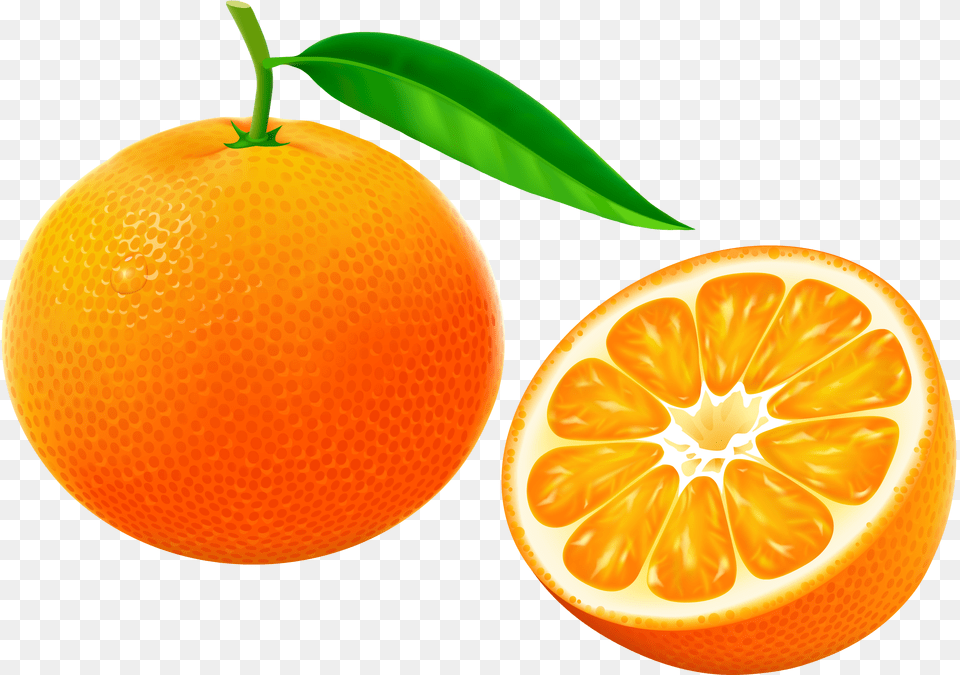 Tangerine Fruit With Half And Flower On White Background, Citrus Fruit, Food, Grapefruit, Orange Png