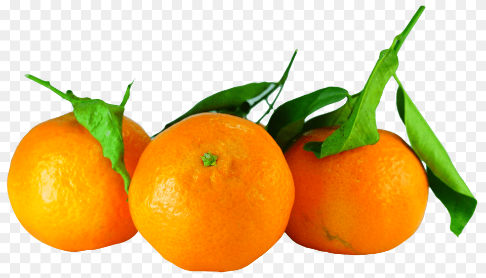 Tangerines With Leaves Image, Citrus Fruit, Food, Fruit, Orange Free Png