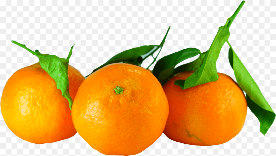 Tangerines With Leaves Tangerines, Citrus Fruit, Food, Fruit, Orange Png Image