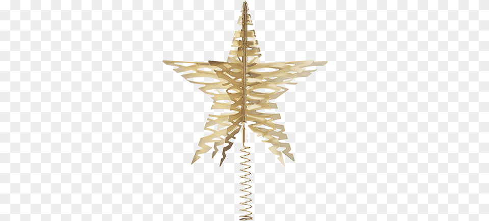 Tangle Christmas Tree Top Star Museu Do Amanh, Leaf, Plant, Person, Symbol Free Transparent Png