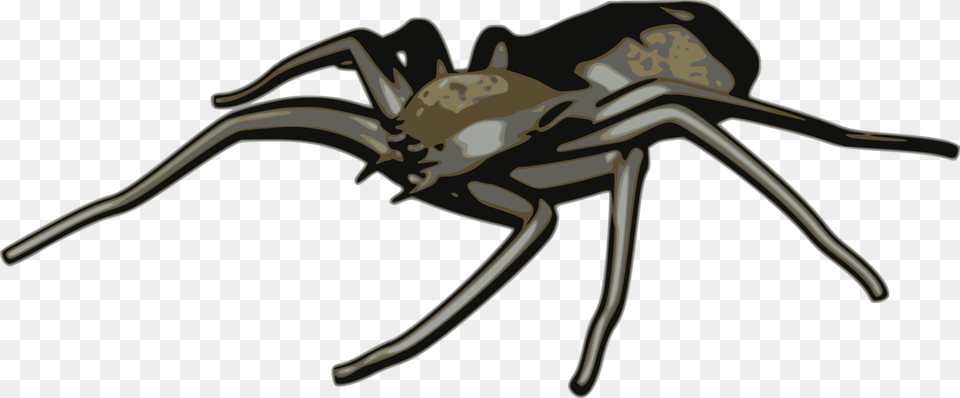 Tangle Web Spiderblack Widowspider Arachne Weaver Clipart, Animal, Invertebrate, Spider Png Image