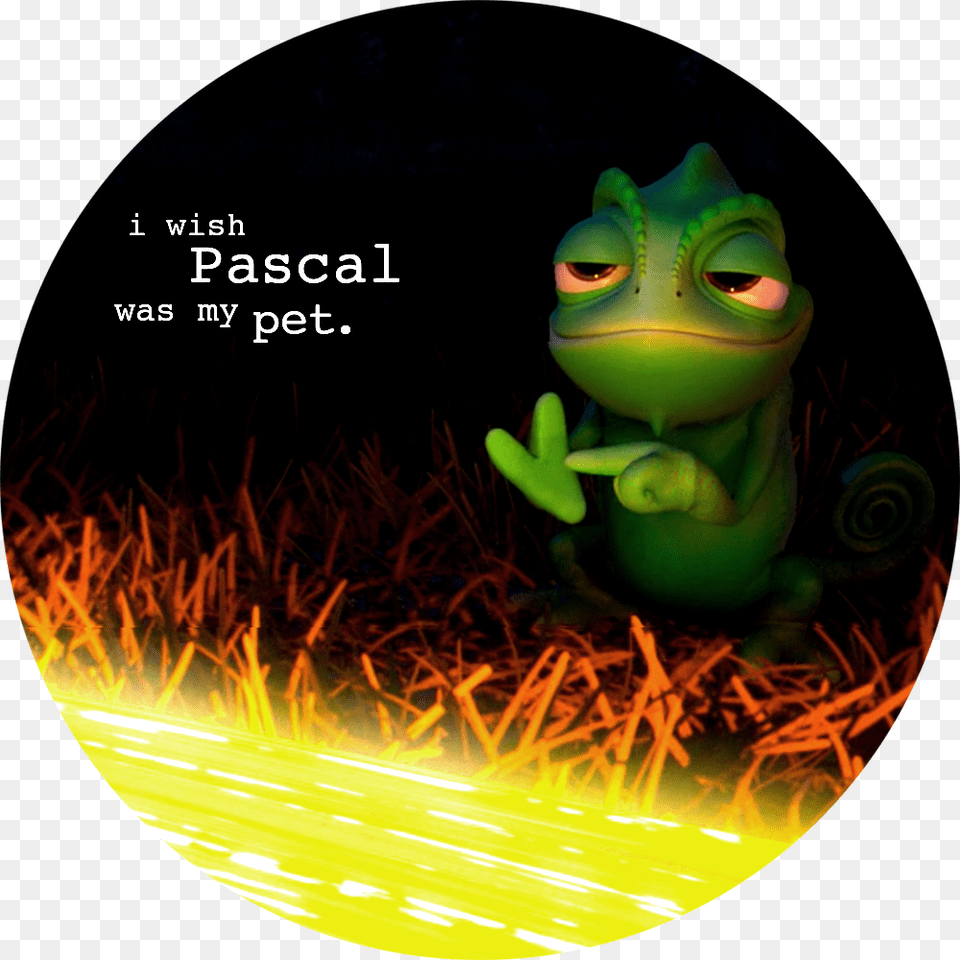 Tangled, Toy, Photography, Amphibian, Animal Free Transparent Png