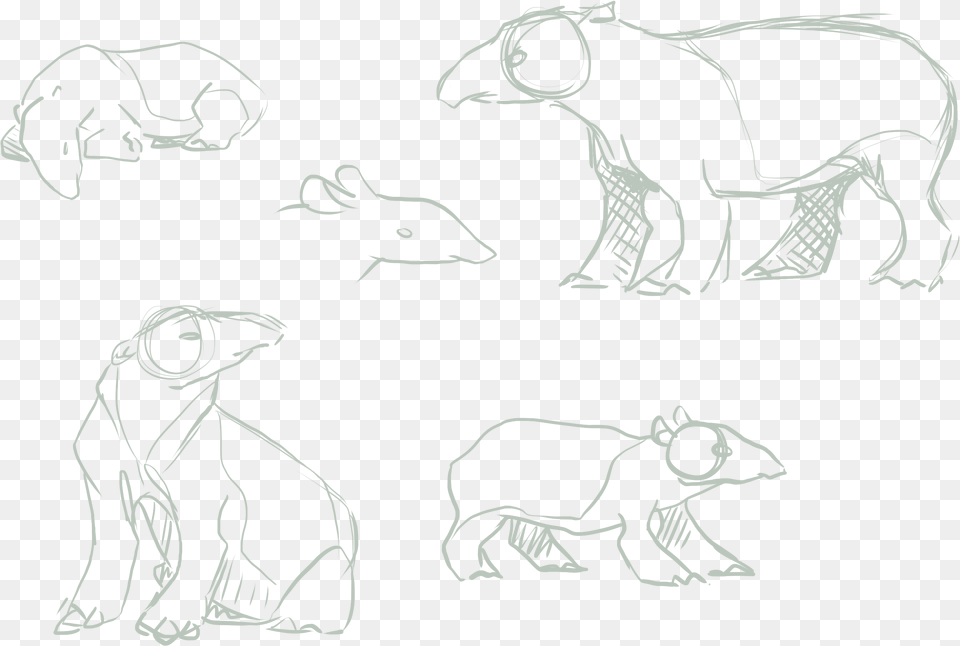 Tapir Sketches Tapir, Stencil, Art, Drawing, Person Free Transparent Png