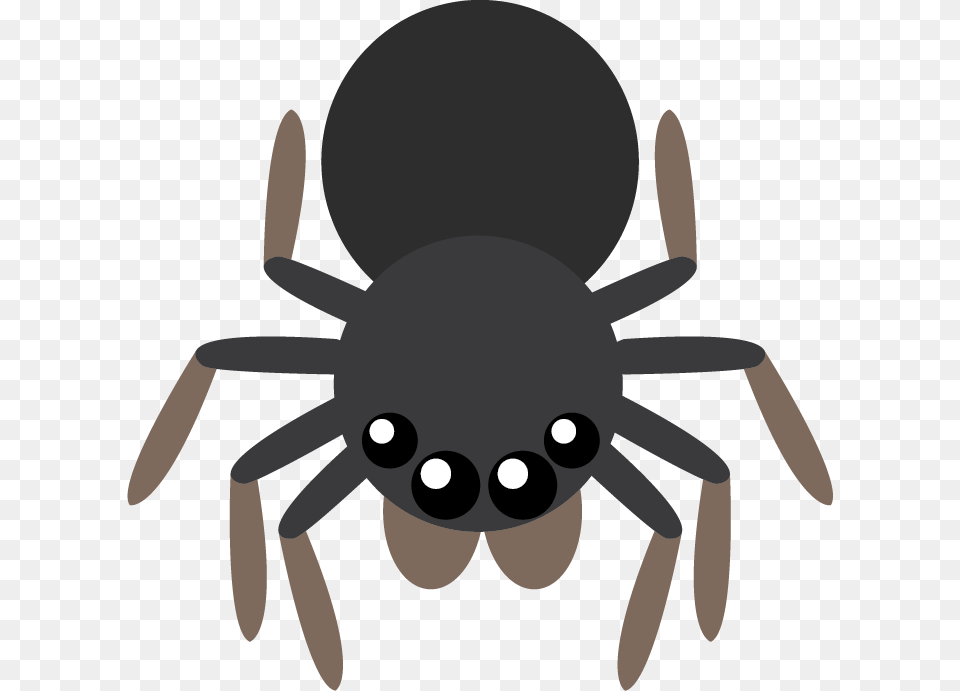 Tarantula, Animal, Invertebrate, Spider, Fish Free Png Download