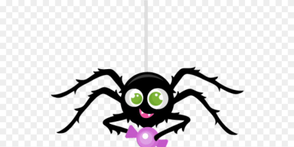 Tarantula Clipart Cute Background Spider Clip Background Halloween Spider Clipart Png Image