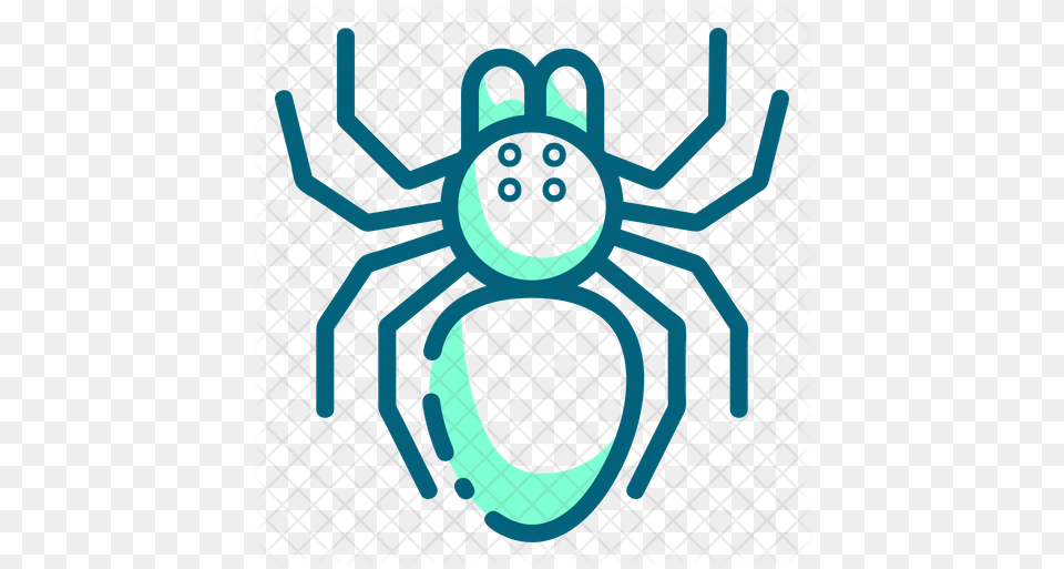 Tarantula Icon Icon, Animal, Invertebrate, Spider, Hockey Free Png Download