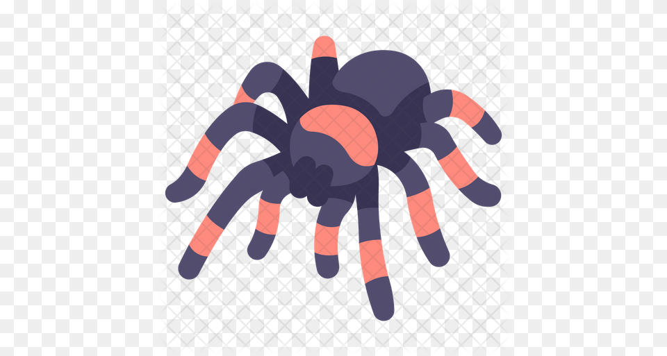 Tarantula Icon Of Flat Style Insect, Animal, Spider, Invertebrate, Ice Hockey Stick Free Png Download
