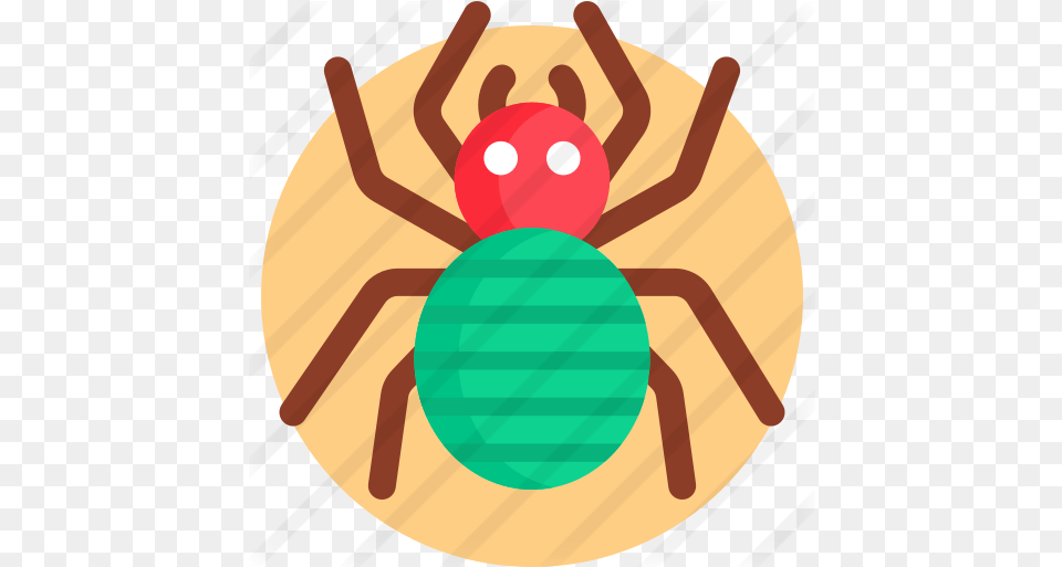 Tarantula Spider, Animal, Invertebrate Free Png Download