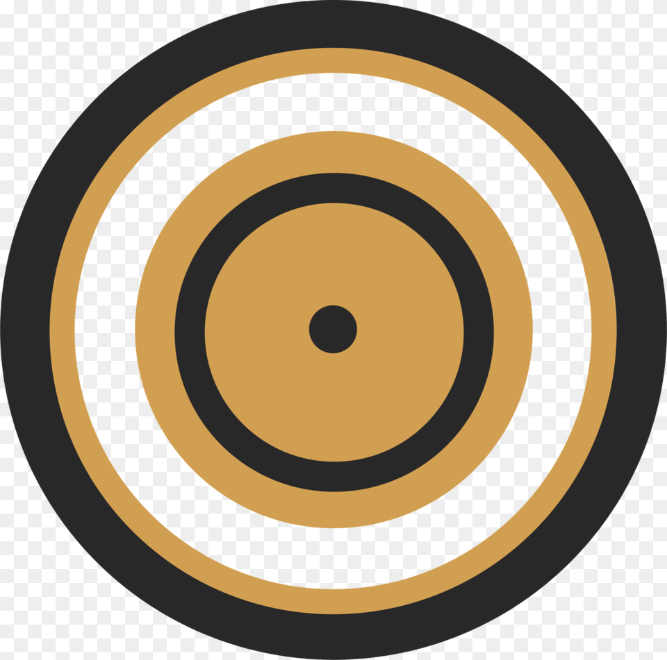 Targeted Adoption Services Logo 01 Skillshare Logo, Spiral, Disk Png