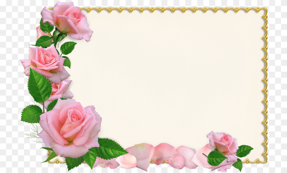 Tarjetas De Invitacion De Boda Con Fotos Para Enviar, Flower, Plant, Rose, Petal Free Png Download