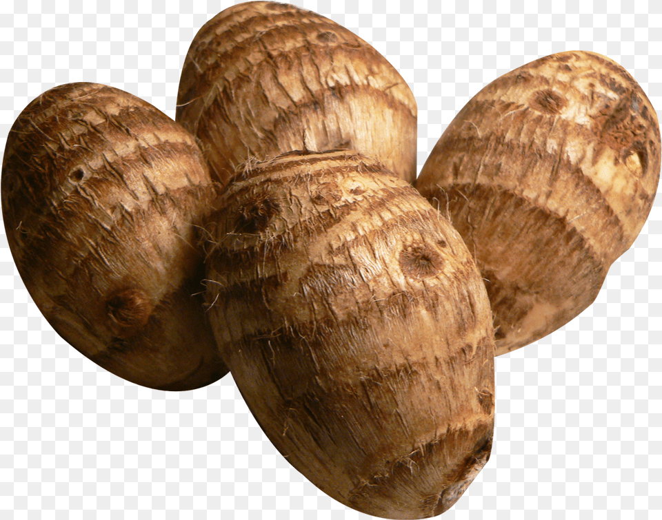 Taro Root Crops In The Philippines, Food, Produce, Animal, Insect Png Image