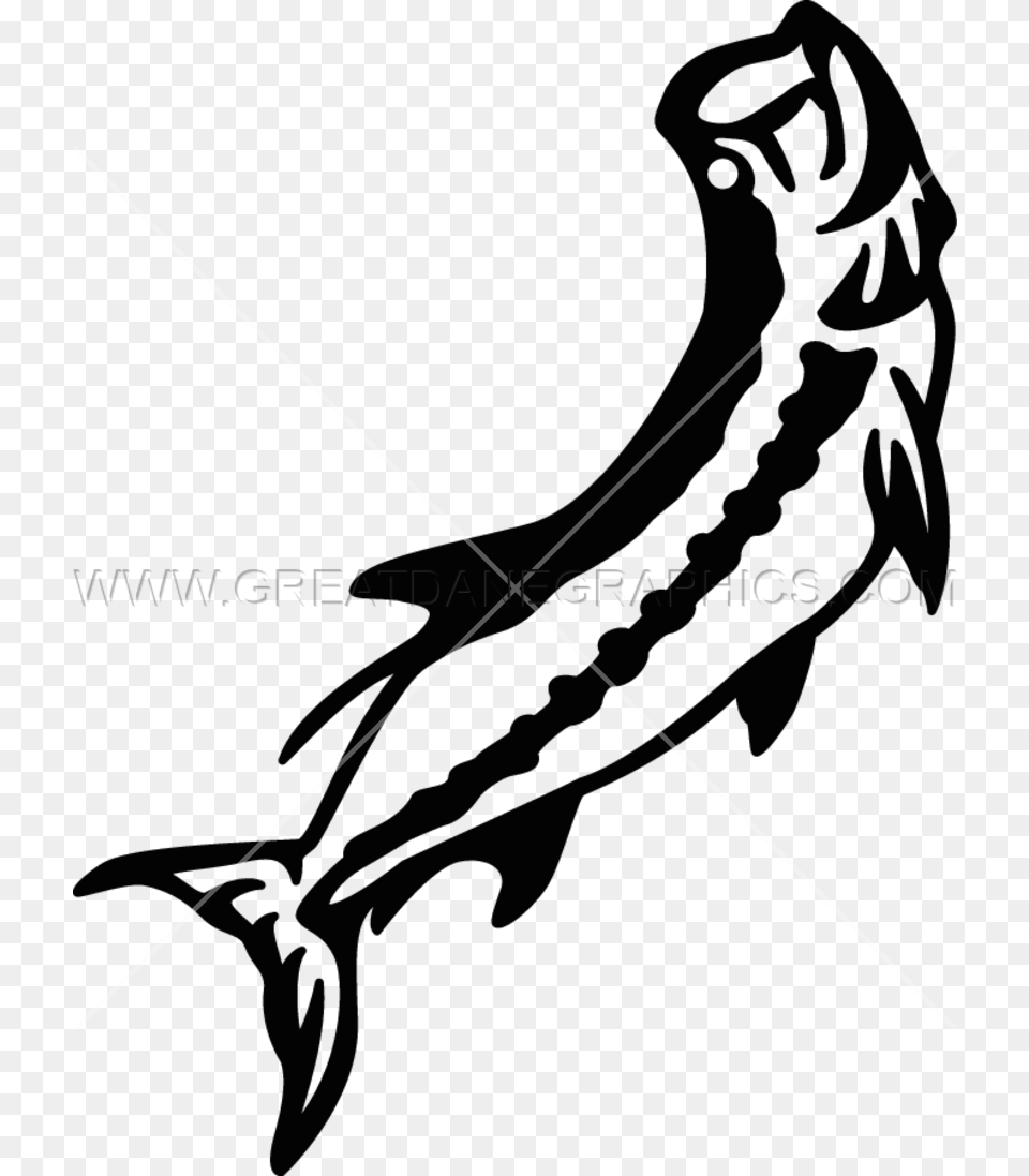 Tarpon Production Ready Artwork For T Shirt Printing, Bow, Weapon, Animal, Sea Life Free Png Download