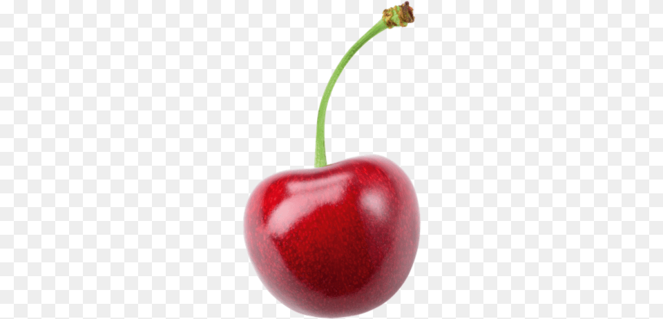 Tart Cherries Black Cherry, Food, Fruit, Produce, Plant Free Transparent Png