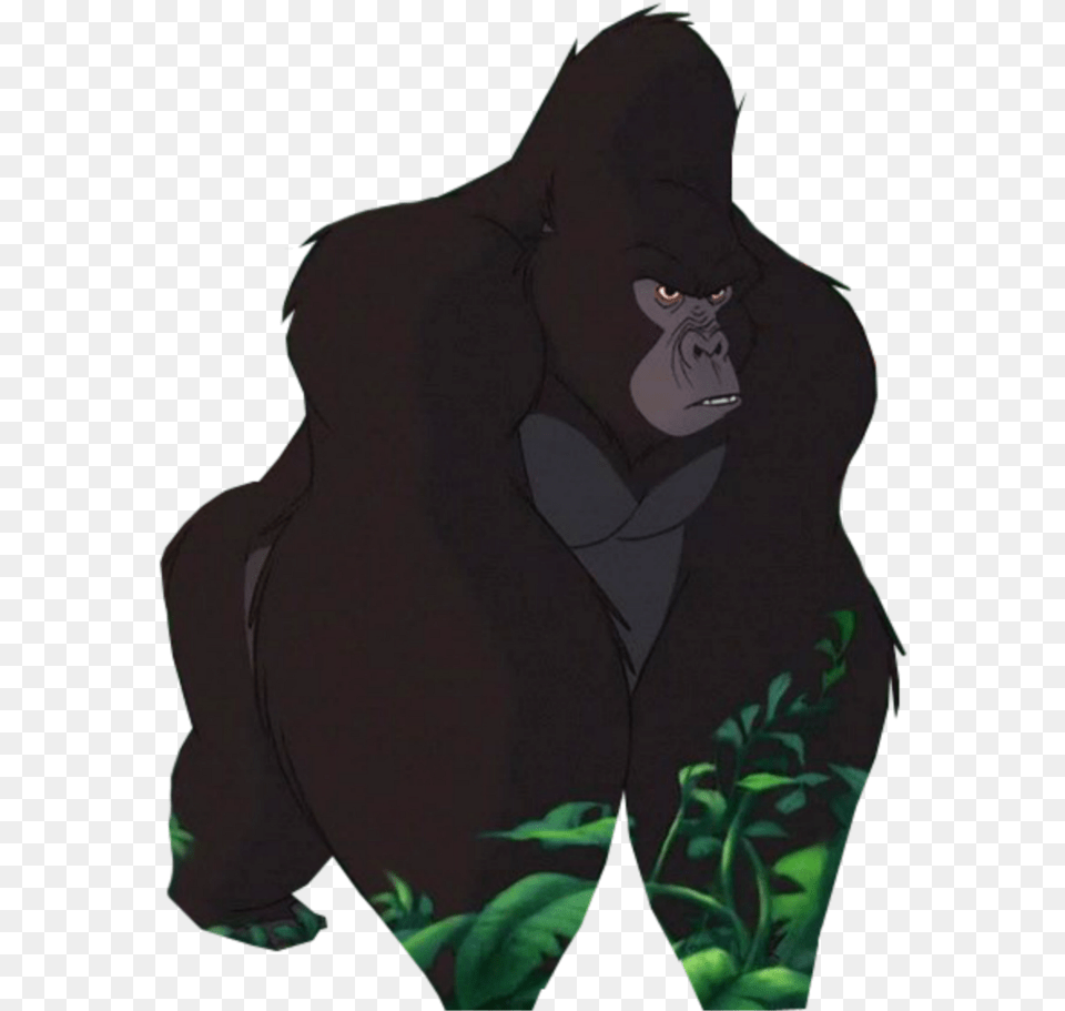 Tarzan Disney Gorilla Download, Animal, Ape, Wildlife, Mammal Png