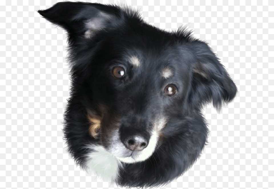 Tasca Memorial Art Companion Dog, Animal, Canine, Mammal, Pet Free Transparent Png