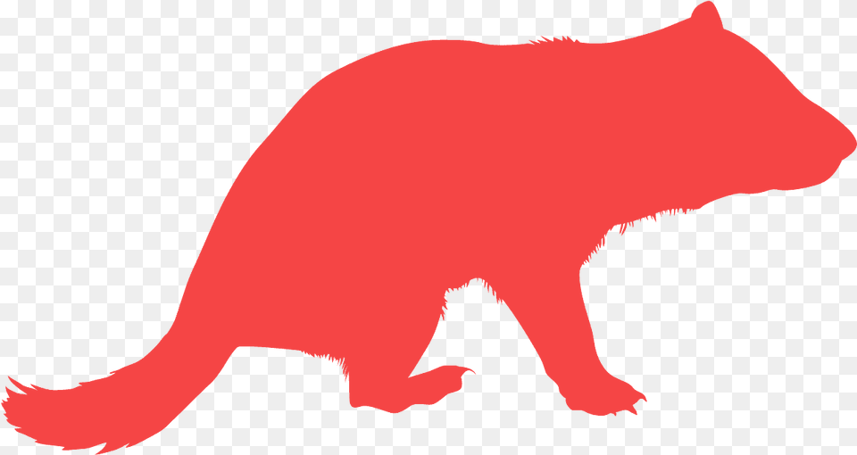 Tasmanian Devil, Animal, Mammal, Bear, Wildlife Free Transparent Png