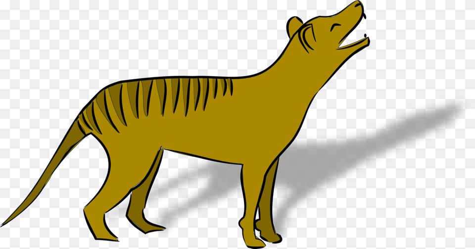 Tasmanian Devil Thylacine Fauna Of Australia Tiger, Adult, Female, Person, Woman Free Png Download