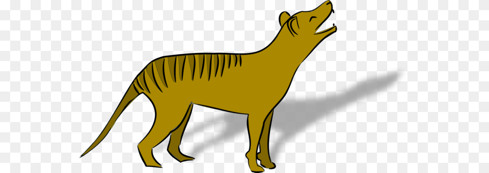 Tasmanian Devil Thylacine Whiskers, Animal, Person, Dinosaur, Reptile Png