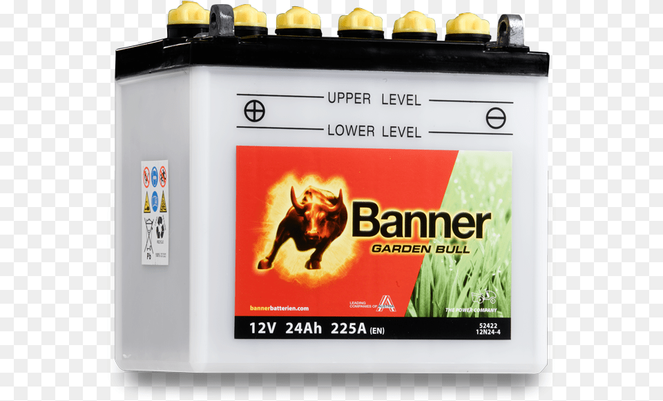 Tasmanian Tiger Clipart Banner, Animal, Cattle, Cow, Livestock Free Transparent Png