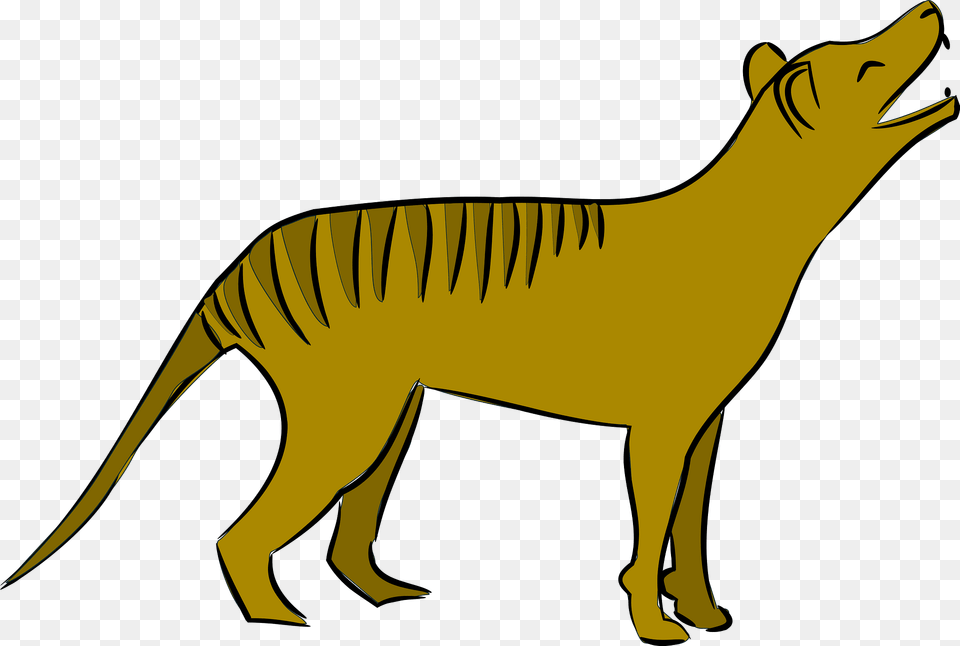 Tasmanian Wolf Clipart, Animal, Kangaroo, Mammal, Dinosaur Png Image