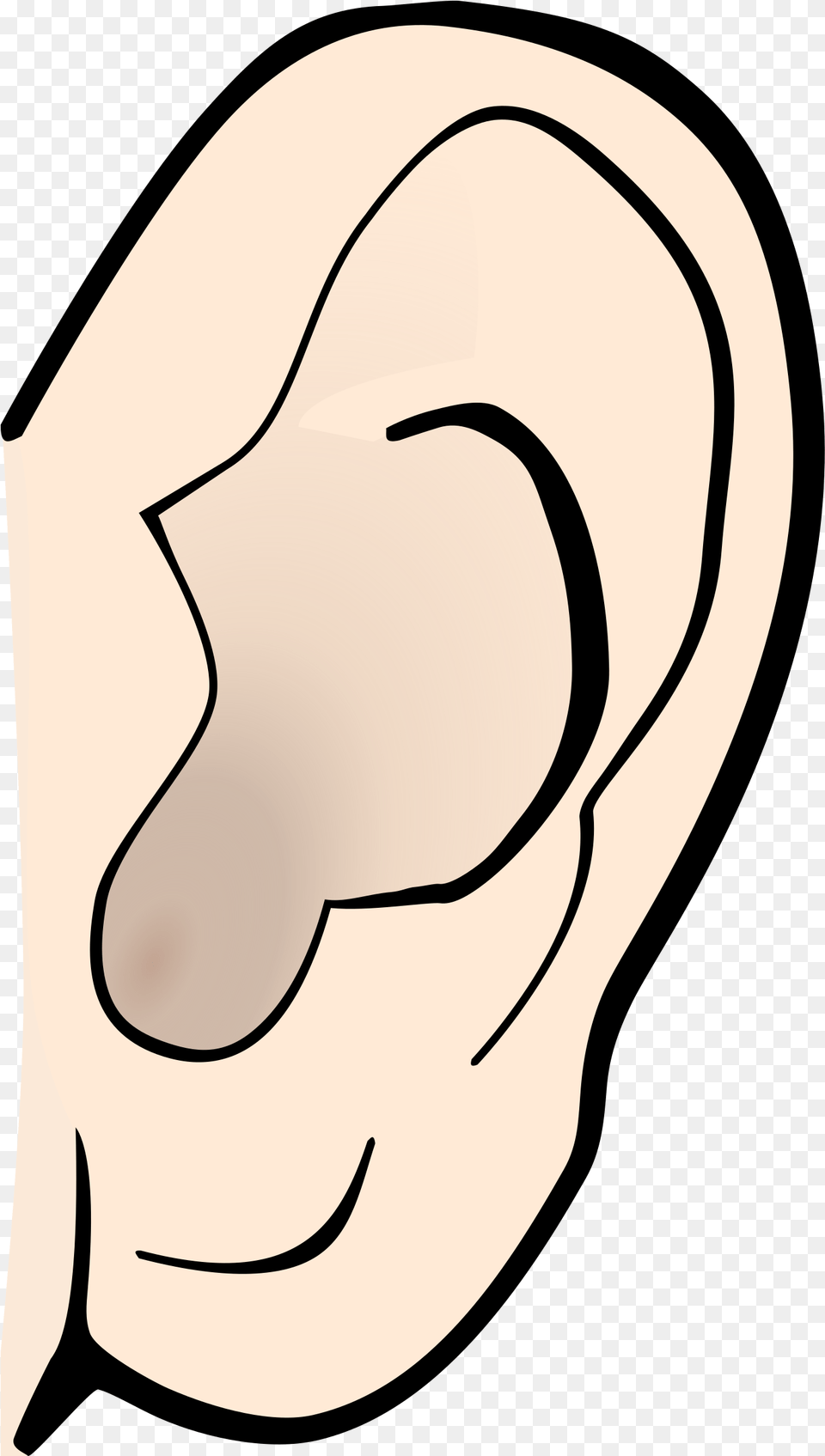 Taste Clipart Nose Big Ears Clipart, Body Part, Ear Png Image