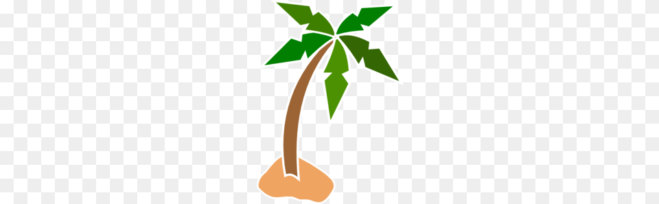 Taste Of Paradise Coconut Heaven, Tree, Plant, Palm Tree, Leaf Png