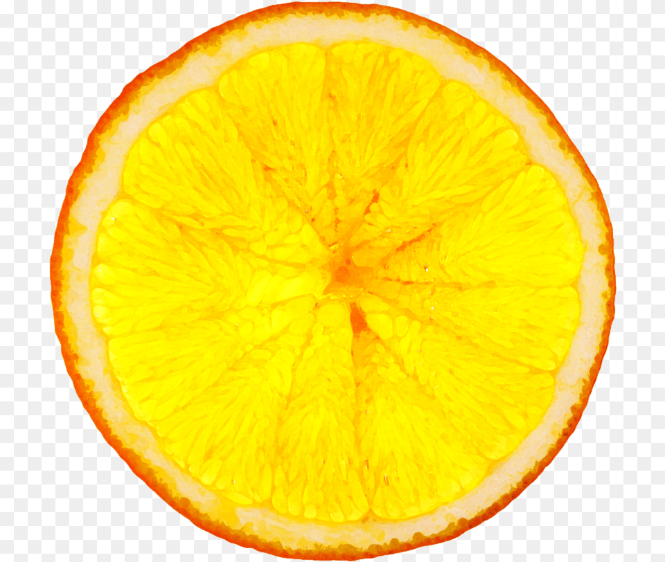 Taste Of Science Orange, Citrus Fruit, Food, Fruit, Plant Free Transparent Png