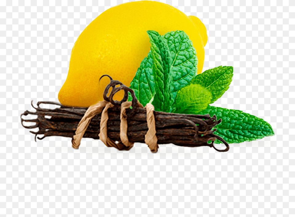 Tastes Of Butter Candy More Creamy Vanilla And Orange Garnish, Citrus Fruit, Food, Fruit, Herbs Free Transparent Png