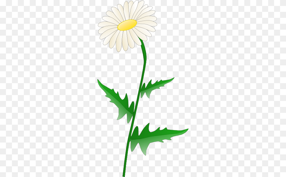 Tatoo Outline Of Daisy Flower Daisy Clip Art, Plant, Animal, Fish, Sea Life Png Image