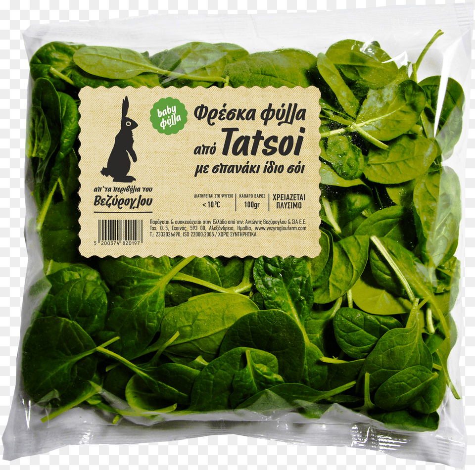 Tatsoi Baby Leaves, Food, Leafy Green Vegetable, Plant, Produce Png