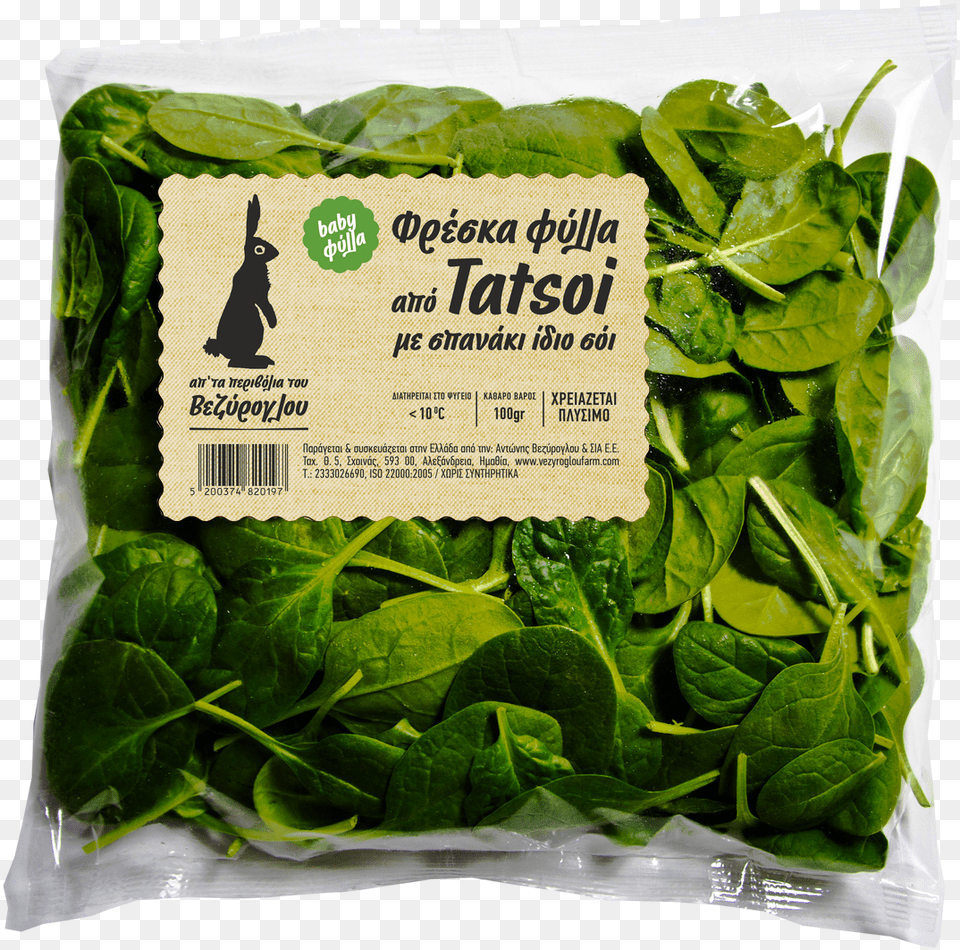 Tatsoi Baby Leaves Spinach, Food, Leafy Green Vegetable, Plant, Produce Free Png