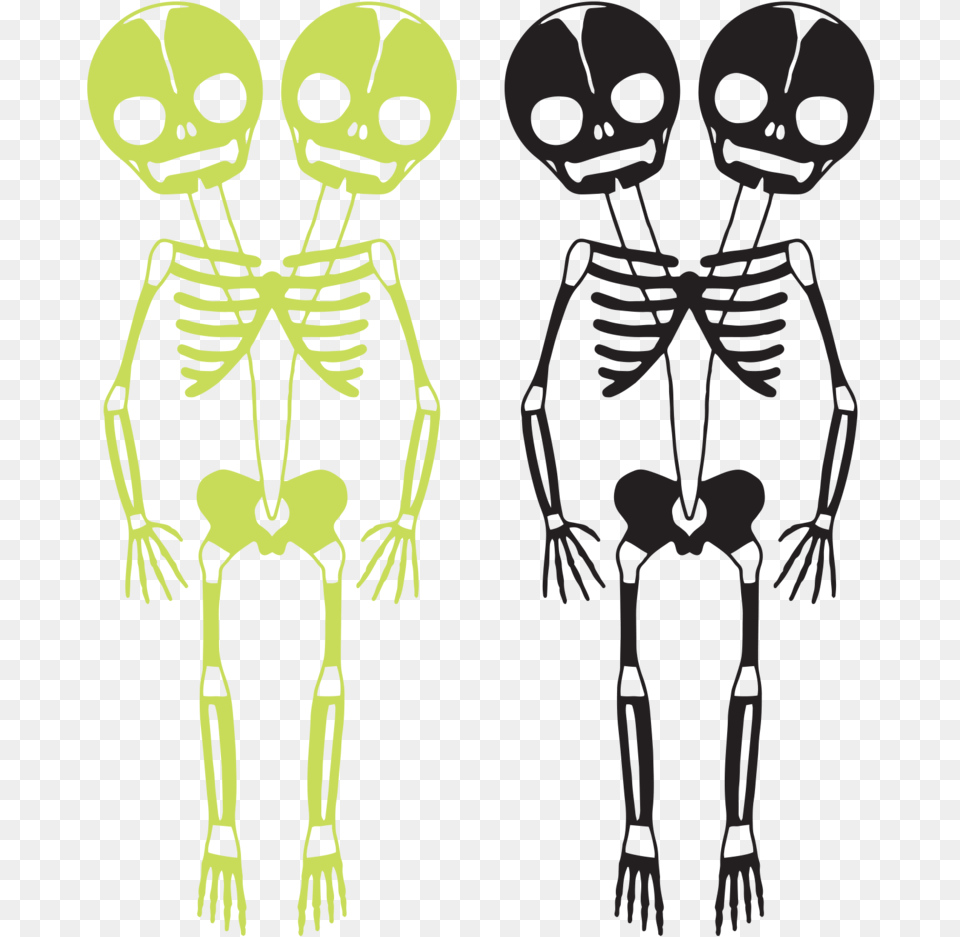 Tattly, Person, Skeleton, Face, Head Png Image