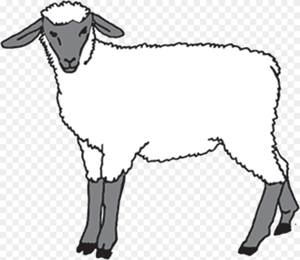 Tattly Lamb Julia Rothman 00 Tattly, Animal, Livestock, Mammal, Sheep Free Png
