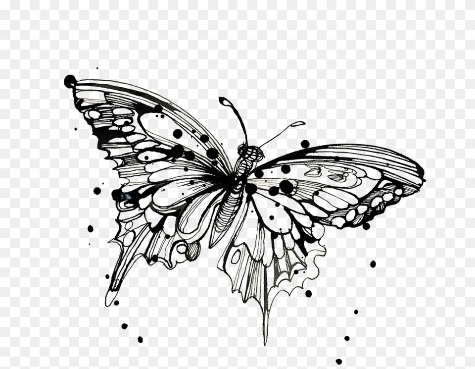 Tattly Temporary Tattoos Monarch Butterfly Drawing Gold Butterfly Transparent Background, Accessories, Jewelry, Art, Brooch Png Image