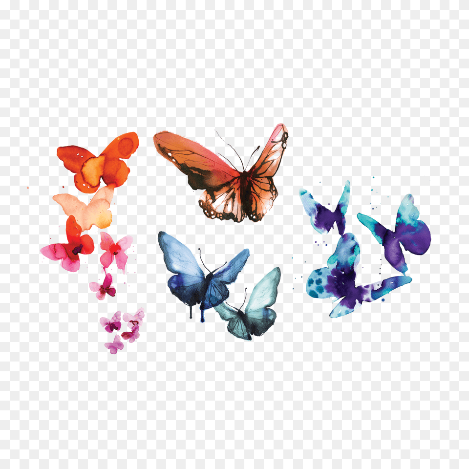 Tattly Temporary Tattoos Transparent Water Color Butterfly, Flower, Petal, Plant, Animal Free Png Download