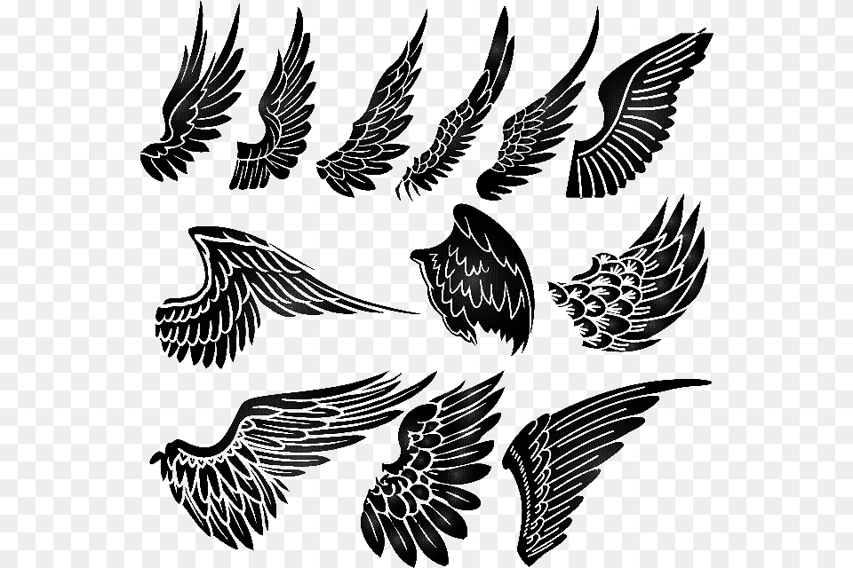 Tattoo Artist Flash Angel Small Wings Tattoo On Chest, Person, Black Png