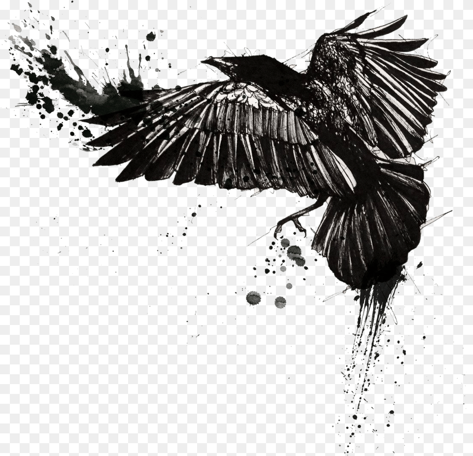 Tattoo Common Raven Trash Polka Crow Trash Polka Crow Tattoo, Animal, Bird, Blackbird Free Transparent Png