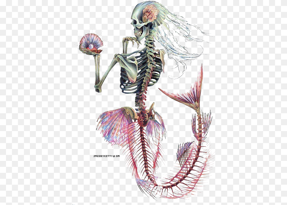 Tattoo Designs Tattoo Ideas Mermaid Skeleton Skeleton Skeleton Mermaid, Animal, Insect, Invertebrate Png Image