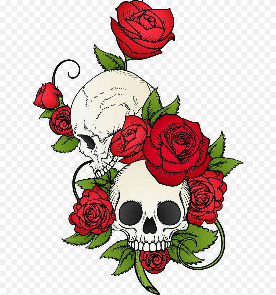Tattoo Download Image Skull And Rose Drawing, Art, Plant, Pattern, Graphics Png