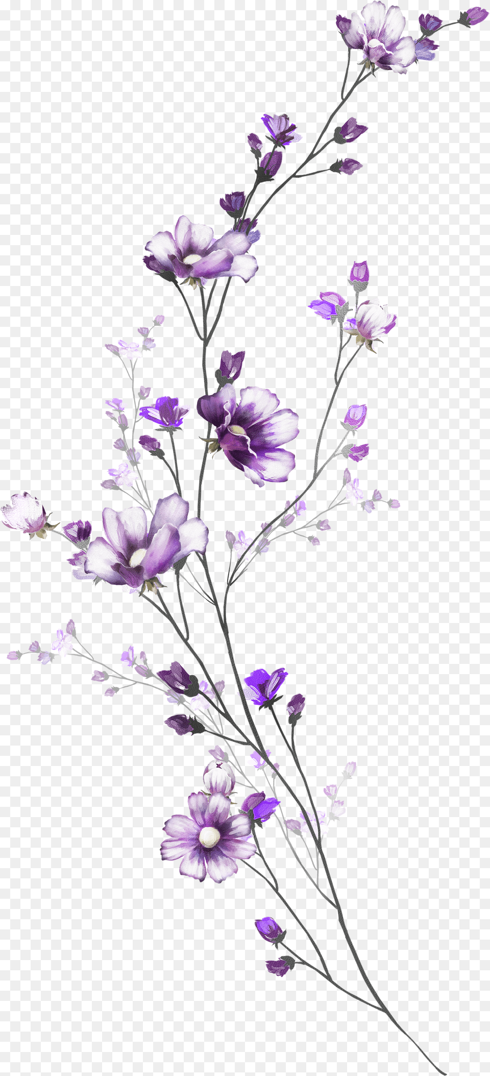 Tattoo Drawings Of Flowers, Purple, Plant, Flower, Petal Free Png Download